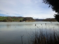 21_aare10_niederr_stausee_1304