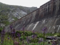 15_Grimsel_Hospiz_250814